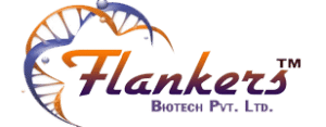 Best 13 Pharma Franchise Companies in Jharkhand