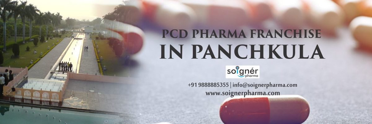 PCD pharma franchise