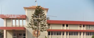 Orissa Drugs & Chemicals Limited