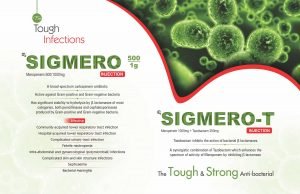 Sigmero-T