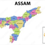 Top 25 PCD Pharma Franchise Companies In Assam