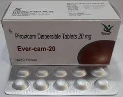 Ever-cam-20 - Everwell Pharma Private Limited