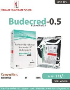 Top 10 Budesonide Nebulizer Suspension BP Brands in India