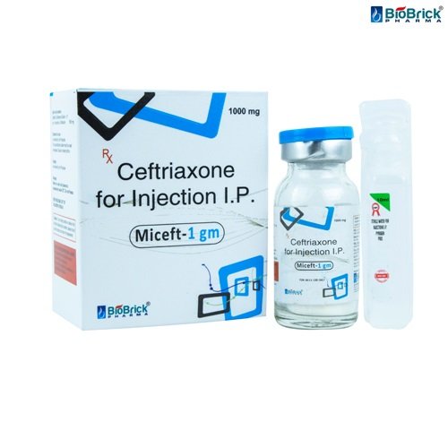 Best Ceftriaxone Injections in India