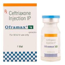 Best Ceftriaxone Injections in India